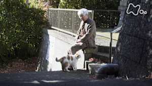 ネコメンタリー　猫も、杓子も。特別編　養老センセイと“まる”鎌倉に暮らす