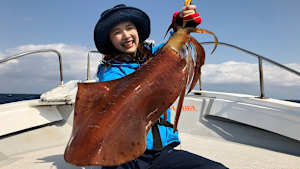 【追/見】Let’s try ソルトゲーム 8 沖縄のティップランエギング