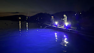 【追/見】特捜AJIENT 12 愛媛県愛南町を大調査！