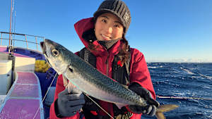 【追/見】なるほど！沖釣りマスター 36 勝浦の寒サバ＆イカ
