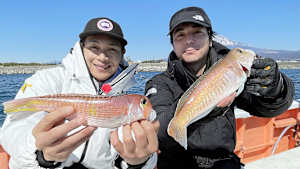 【追/見】純烈フィッシュ 16 駿河湾の紅白アマダイ