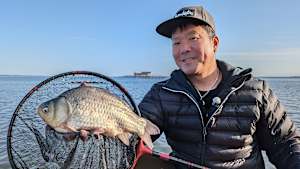 【追/見】G WORLD 41 ノッコミの巨大野ベラを求める