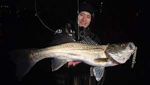 【追/見】シーバスGap！ 4 早春の東京湾奥