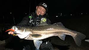 【追/見】Dz SALT 126 モンスター出現！真冬のシーバスin山口県