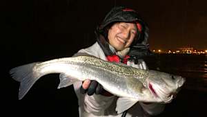 【追/見】やっぱりシー研 海洋生物研究所 17 大阪湾シーバス調査