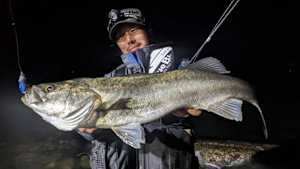 【追/見】シーバス無双 5 愛媛県しまなみ海道 冬編