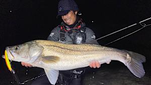 【追/見】メタルバスター 28 宮崎のメーターオーバーシーバス