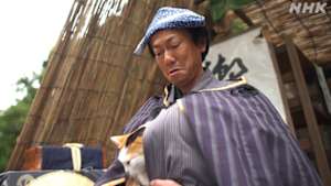 超入門！落語　ＴＨＥ　ＭＯＶＩＥ　「猫の皿」「三方一両損」