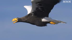 さわやか自然百景　北海道　宗谷岬　秋から冬