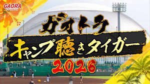 ガオトラ！キャンプ聴きタイガー2026 #8