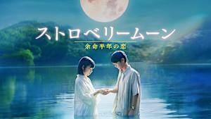 ストロベリームーン 余命半年の恋