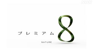 プレミアム８