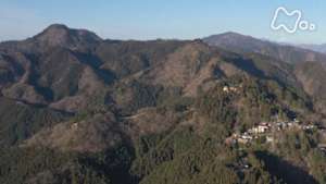 にっぽん百名山　大岳山・御岳山～芽吹き始める命～