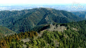 にっぽん百名山　高尾山～誰もが知る山を誰よりも楽しむ～