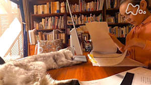 ネコメンタリー　猫も、杓子（しゃくし）も。　朝井まかてとマイケル