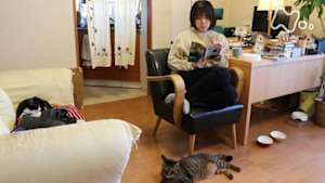 ネコメンタリー　猫も、杓子（しゃくし）も。　深緑野分（ふかみどり・のわき）としおりとこぐち