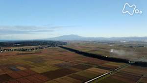 さわやか自然百景　山形　庄内平野