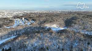 さわやか自然百景　北海道　雪が覆った野幌森林公園