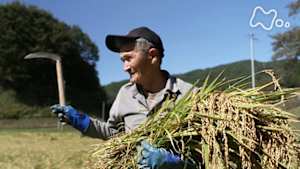 ＥＴＶ特集　あぶくまロマンチック街道～故郷と原発事故の１３年～