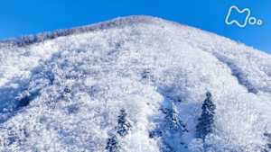 にっぽん百名山　雪山は“天然の美術館”　～美ヶ原・赤城山・竜ヶ岳～