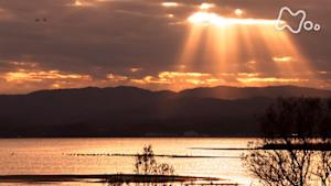 さわやか自然百景　島根　宍道湖　秋から冬