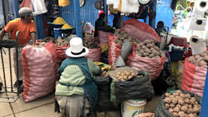 世界ふれあい街歩き　インカの誇り　ペルー　クスコ