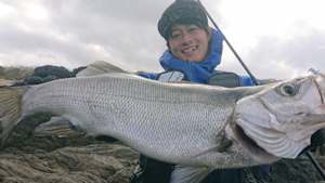 【追/見】RUN＆GUN SALT 20 長崎 宇久島ヒラスズキゲーム