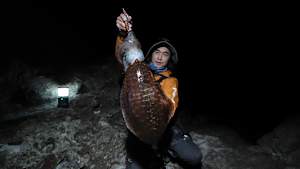 【追/見】SOUL JERKER 9 実践編 鹿児島県南薩エリア×初春のエギング