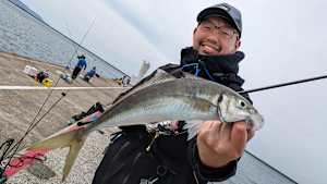 【追/見】G WORLD 42 新潟直江津デイアジングに挑む