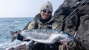 【追/見】メタルバスター 41 北海道 道南の海サクラ