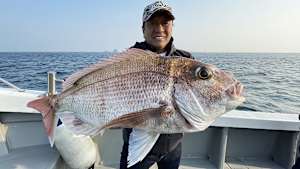 【追/見】魚種格闘技戦！ 264 春よ来い！長崎五島タイラバ