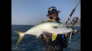 【追/見】メタルバスター 18 VS熊本県天草下島のブリ・ヒラマサ