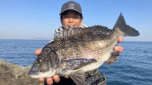 【追/見】ZENSOH流儀13 浮かせて喰わせる内房スタイル