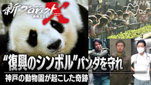 新プロジェクトＸ～挑戦者たち～　“復興のシンボル”パンダを守れ～神戸の動物園が起こした奇跡～