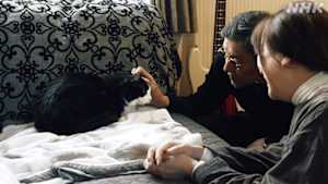 ネコメンタリー　猫も、杓子（しゃくし）も。　猫の日スペシャル　一生で一番愛した猫　～村山由佳と奥田瑛二　軽井沢冬物語～