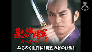 暴れん坊将軍IIIスペシャル みちのく血判状！魔性の谷の決戦！！