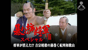 暴れん坊将軍IIIスペシャル 将軍が消えた！？吉宗暗殺の渦巻く紀州和歌山