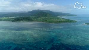 さわやか自然百景　沖縄　西表島　水の世界