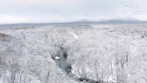 さわやか自然百景　早春　北海道　千歳川
