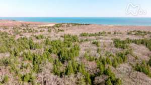 さわやか自然百景　北海道　別海の森