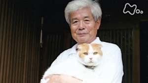 ネコメンタリー　猫も、杓子（しゃくし）も。　養老センセイとまる