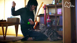 ネコメンタリー　猫も、杓子（しゃくし）も。　角田光代とトト