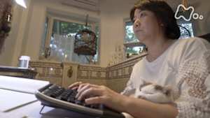 ネコメンタリー　猫も、杓子（しゃくし）も。　村山由佳ともみじ