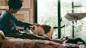 ネコメンタリー　猫も、杓子（しゃくし）も。　椹野道流ととびちゃんと甘利と福本と波多野と実井とちびすけ