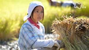 ひよっこ　　　（６）お父ちゃんが帰ってくる！