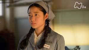 ひよっこ　　（５３）小さな星の、小さな光