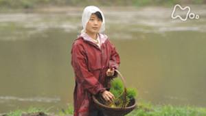 ひよっこ　（１１３）ただいま。おかえり。