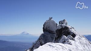 にっぽん百名山　八ヶ岳を縦走する　～北の優しさ　南の険しさ～