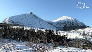 にっぽん百名山　たおやかな雪山へ～北八ヶ岳～