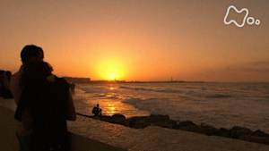 世界ふれあい街歩き　カサブランカ（モロッコ）